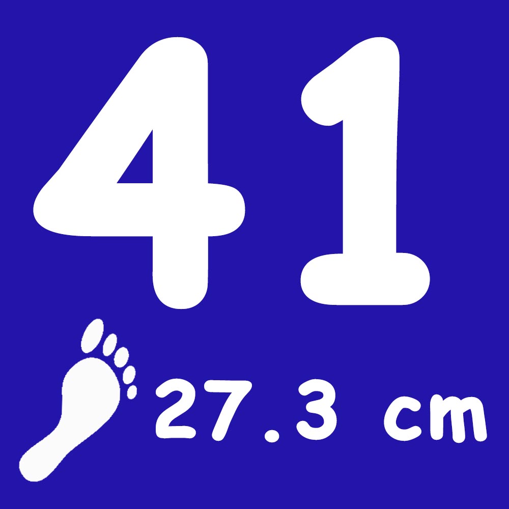 Talla 41 medida en cm del pie