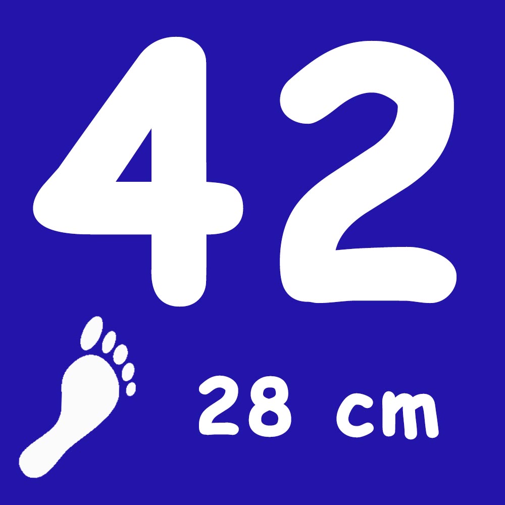 Talla 42 medida en cm del pie